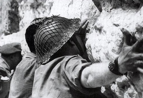 اضغط على الصورة لرؤيتها بالحجم الطبيعي