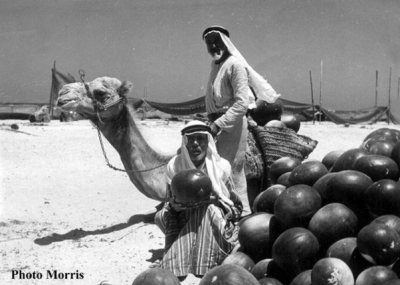 اضغط على الصورة لرؤيتها بالحجم الطبيعي